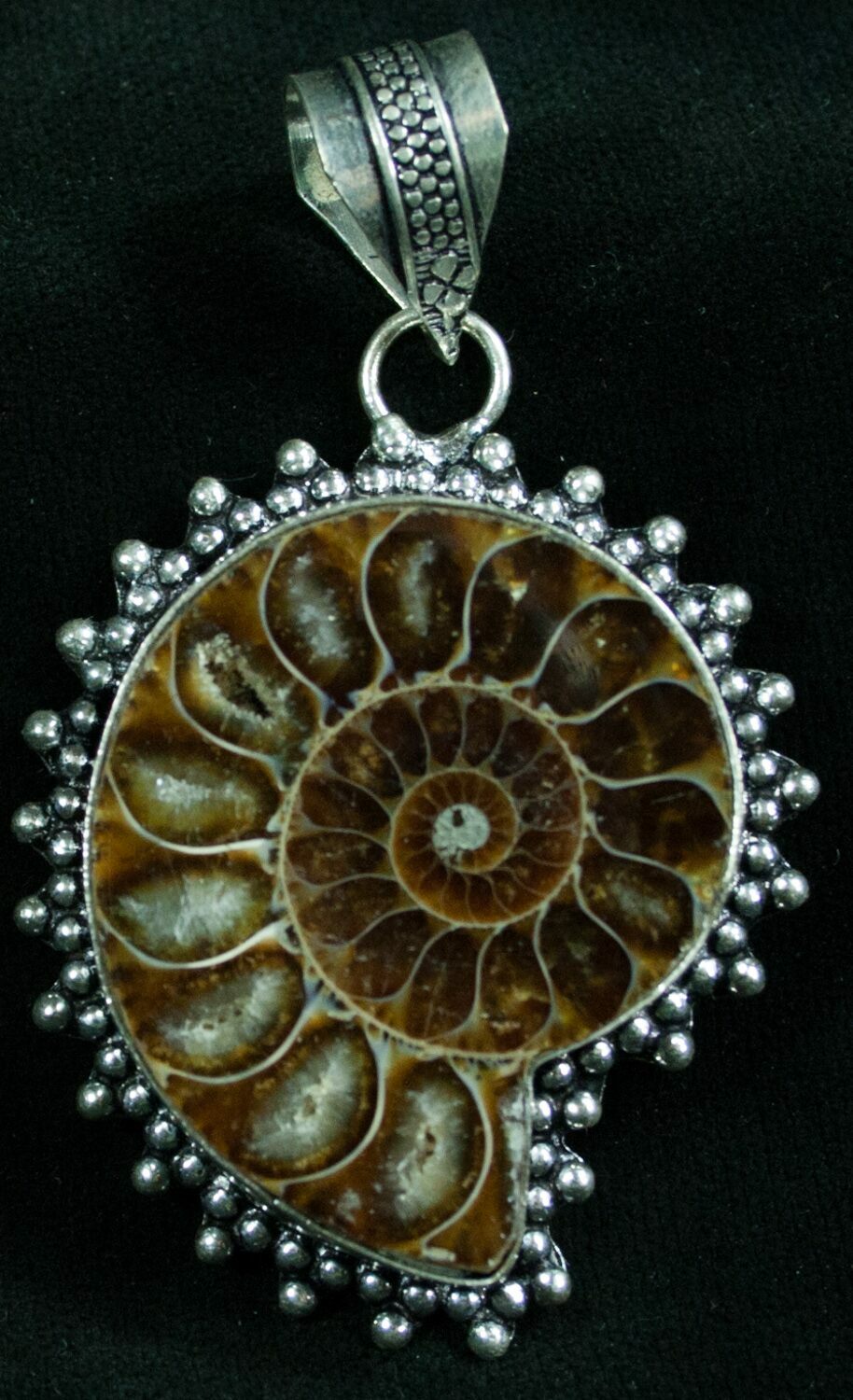 Fossil Ammonite Pendant 110 Million Years Old For Sale (8284