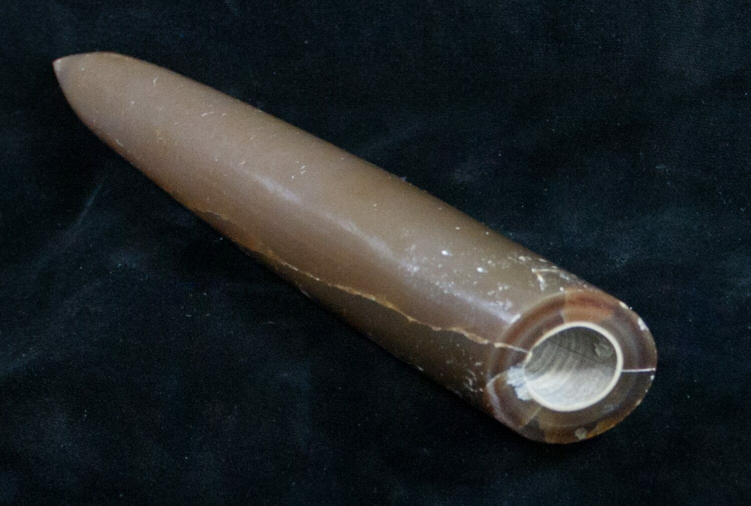 Large 7.5" Agatized Belemnite Fossil Polished For Sale (9454)