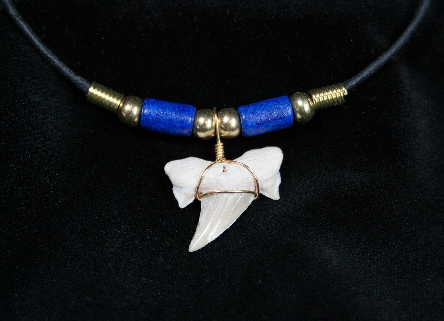 Fossil Shark Tooth Necklace For Sale (#604) - FossilEra.com