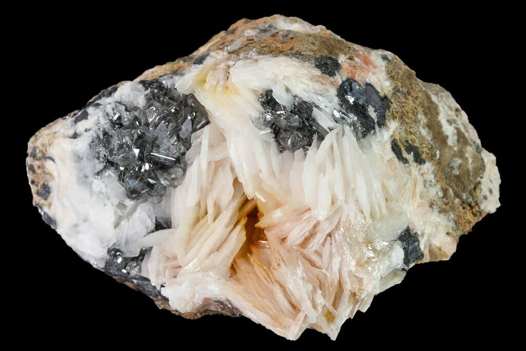 Barite Bologna Stone Pack of 2 Unpolished Minerals