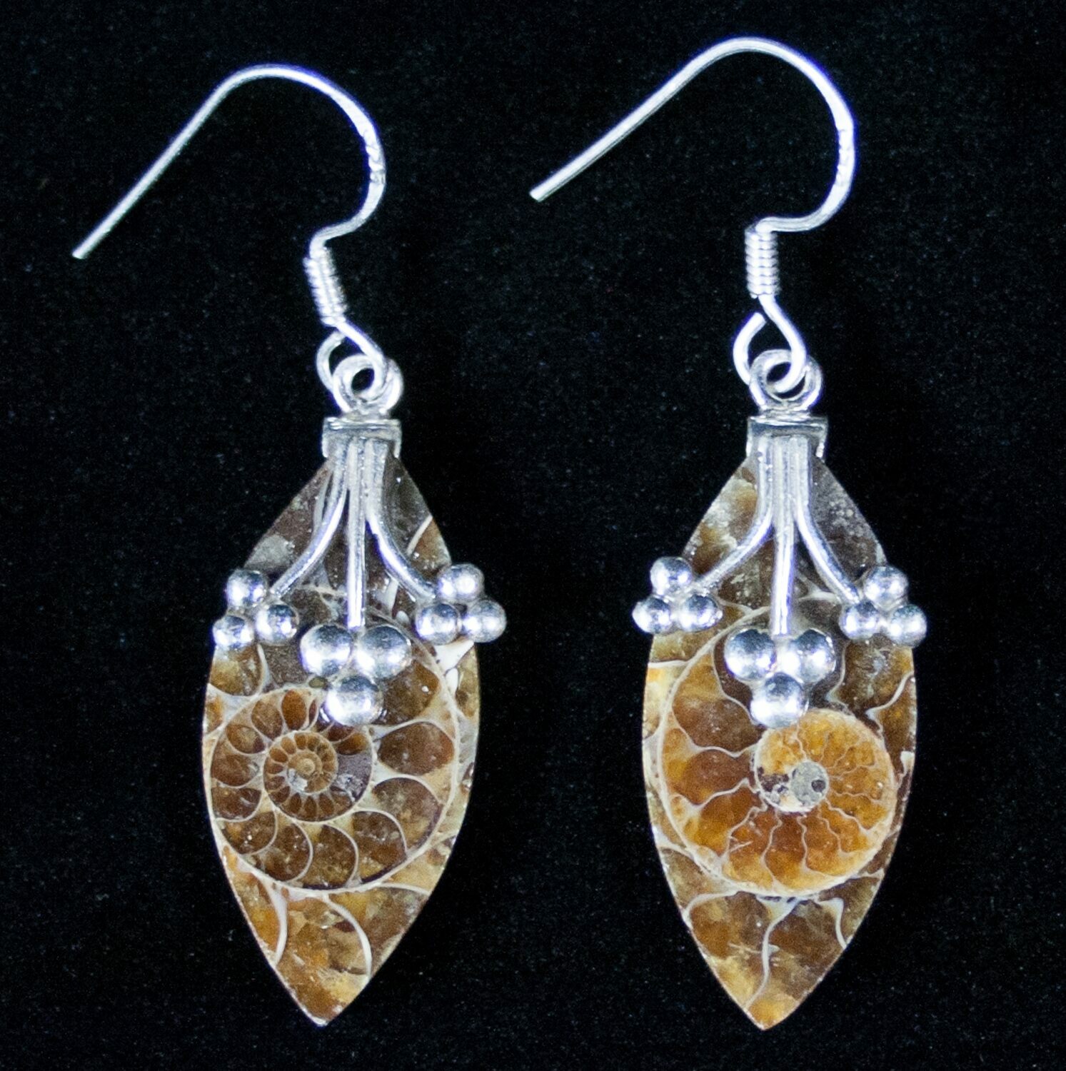 Ammonite Fossil Earrings Sterling Silver For Sale (12775